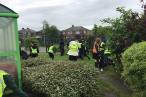 Greenside litter