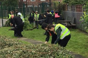 Greenside litter2